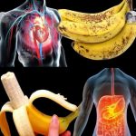 Did you know that eating bananas increases… See more