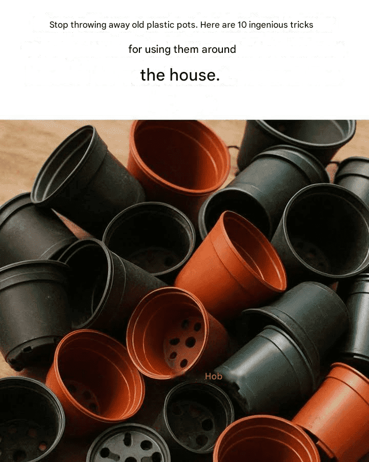 Stop throwing away old plastic pots. Here are 10 ingenious ways to use them around the house.
