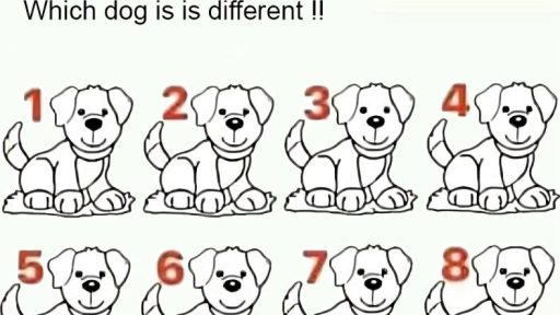 Most People Fail: Can You Spot Which Dog Is Different?