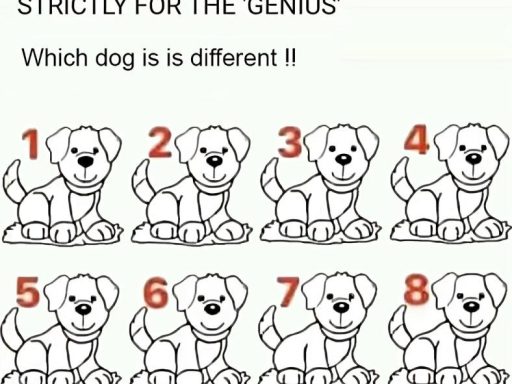 Most People Fail: Can You Spot Which Dog Is Different?