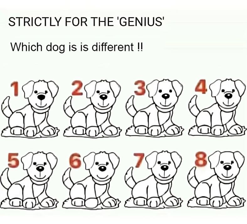 Most People Fail: Can You Spot Which Dog Is Different?