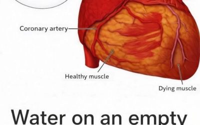 Does drinking water in the morning and after waking up have a beneficial effect on your overall well-being?