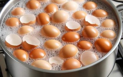 Stop throwing them away. Boil your eggshells and say goodbye to… Show more
